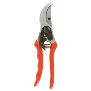 Classic Pruner, Samurai KS4