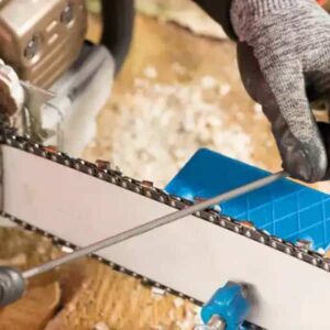 Alternative view of Chain Saw Files 412, Pferd