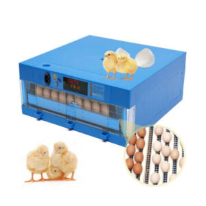 Egg Incubator Capacity of 64 Eggs, TM&W 1ER64 - Image 3