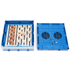 Egg Incubator Capacity of 64 Eggs, TM&W 1ER64 - Image 5