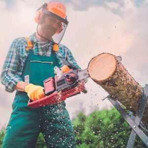 Cordless Chain Saw, Einhell GP-LC 36/35 Li - Image 7