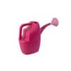 Vento Watering Can, Panda Plast 125007