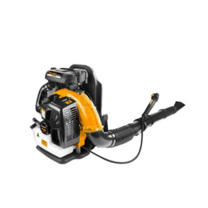 Gasoline Leaf Blower, Tolsen 79629