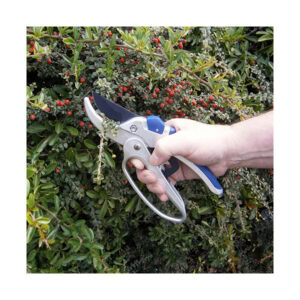 Alternative view of Razor-sharp Advance Geared Anvil Secateurs, Spear & Jackson 6758GS