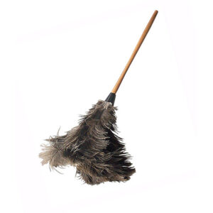Feather duster