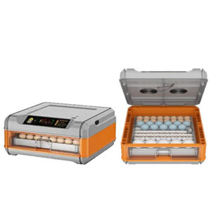 Intelligent Egg Incubator (64 egg)