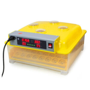 Intelligent Egg Incubator (48 egg)