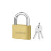 Bronze Lock, Jadever