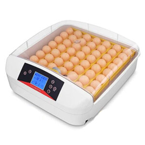 Intelligent Egg Incubator (55 egg)