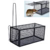 Mouse Trap
