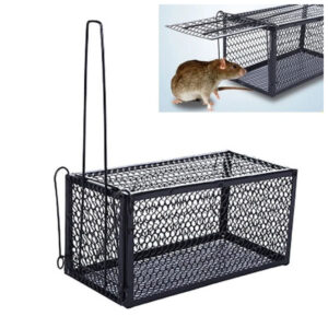 Mouse Trap