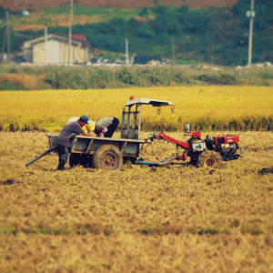 Farming