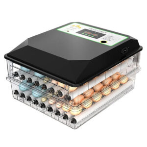 Egg Incubator (104)