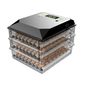 Egg Incubator (152)