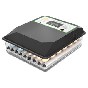 Egg Incubator (56)