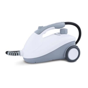Powerful Steam Cleaner