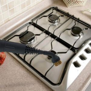 Powerful Steam Cleaner