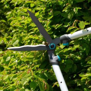 Hedge Clippers TeleCut