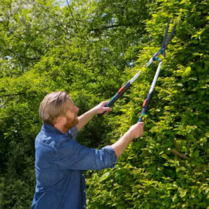 Hedge Clippers TeleCut