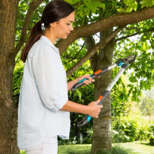 Pruning Lopper TeleCut 520-670 B
