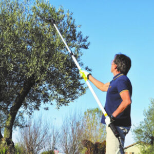 OlivGreen 500 Plus olive harvester
