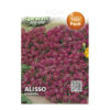 Sgaravatti Violet Alyssum