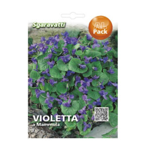 Sgaravatti Mammole Violets