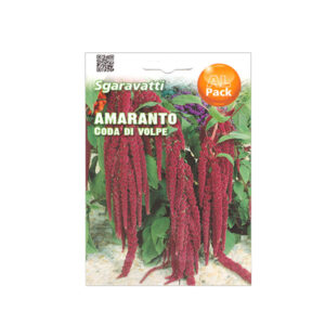 Sgaravatti Amaranthus Caudatus Flower