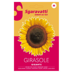 Giant Sunflower