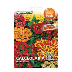 Sgaravatti Calceolaria
