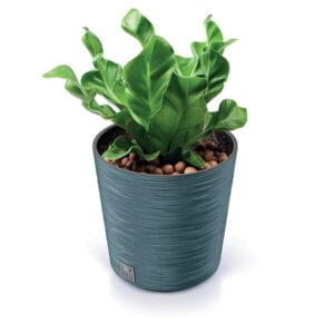Prosperplast DFR250 Furu round flowerpot, durable plastic plant container.