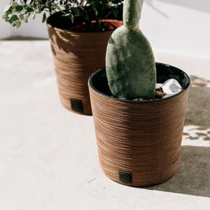 Prosperplast DFR250W Furu round low flowerpot for indoor and outdoor use.