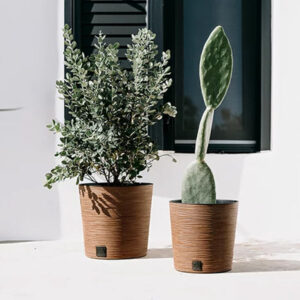 Prosperplast DFR250W Furu round low flowerpot for indoor and outdoor use.