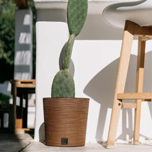 SAKR Building Materials: Furu Round Low Flowerpot, Prosperplast DFR250W for indoor and outdoor garde.