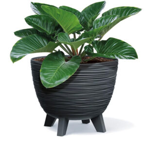 Prosperplast DFUR300 Furu flowerpot in black with stand.