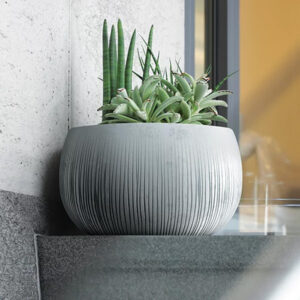 SAKR Building Materials - Prosperplast DKB290 concrete bowl flowerpot with succulents.