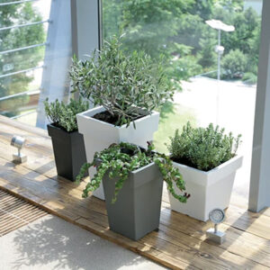 Prosperplast DLOFQ300-S433 square flowerpot, ideal for indoor and outdoor plants.