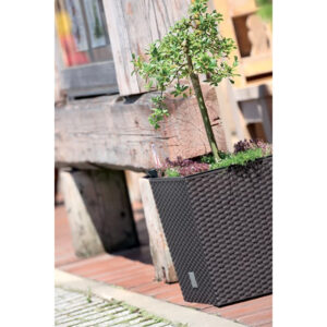 Prosperplast DRTS325L Rato Low Flowerpot for outdoor gardening.