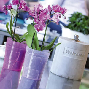 Prosperplast Coubi Orchid Flowerpot DSTO125M – Transparent Decorative Planter for Orchids