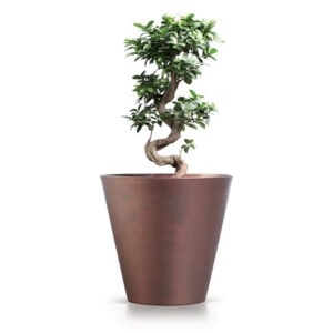 Corten round flowerpot from Prosperplast, ideal for outdoor garden decoration and plant display.
