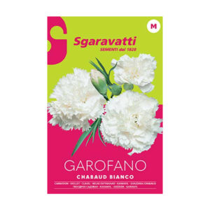 Sgaravatti Carnation Chabaud Double White Seeds