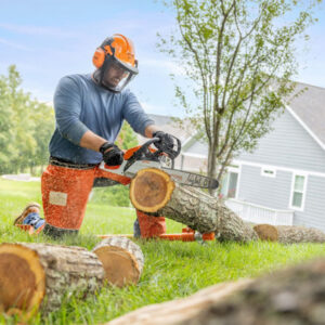 Stihl MS 172 gasoline chainsaw for efficient tree cutting and pruning.