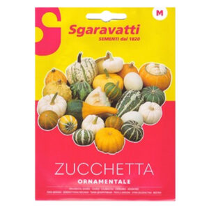 Sgaravatti