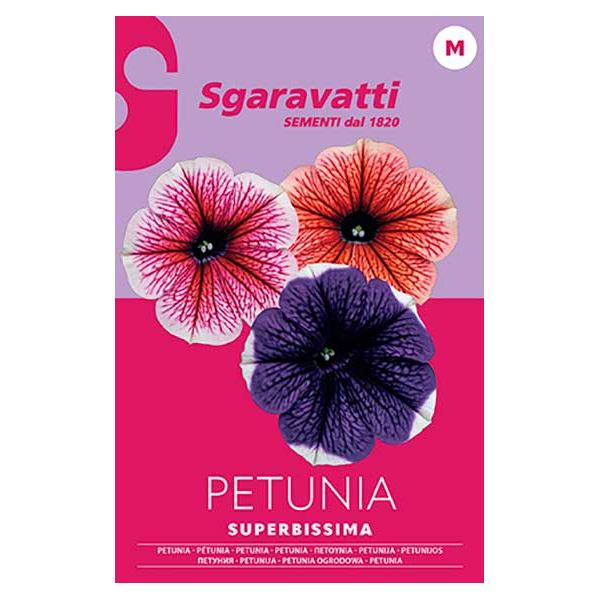 Sgaravatti