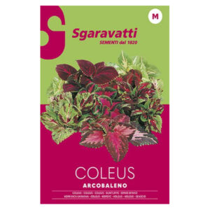Sgaravatti