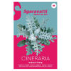 Sgaravatti