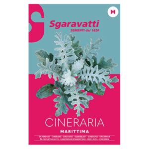 Sgaravatti
