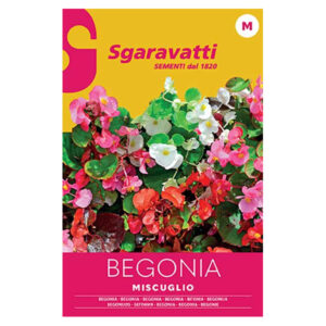 Sgaravatti seeds