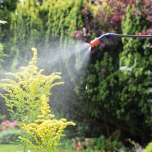 Spear & Jackson 5LPAPS 5L Pump Action Pressure Sprayer with Adjustable Nozzle