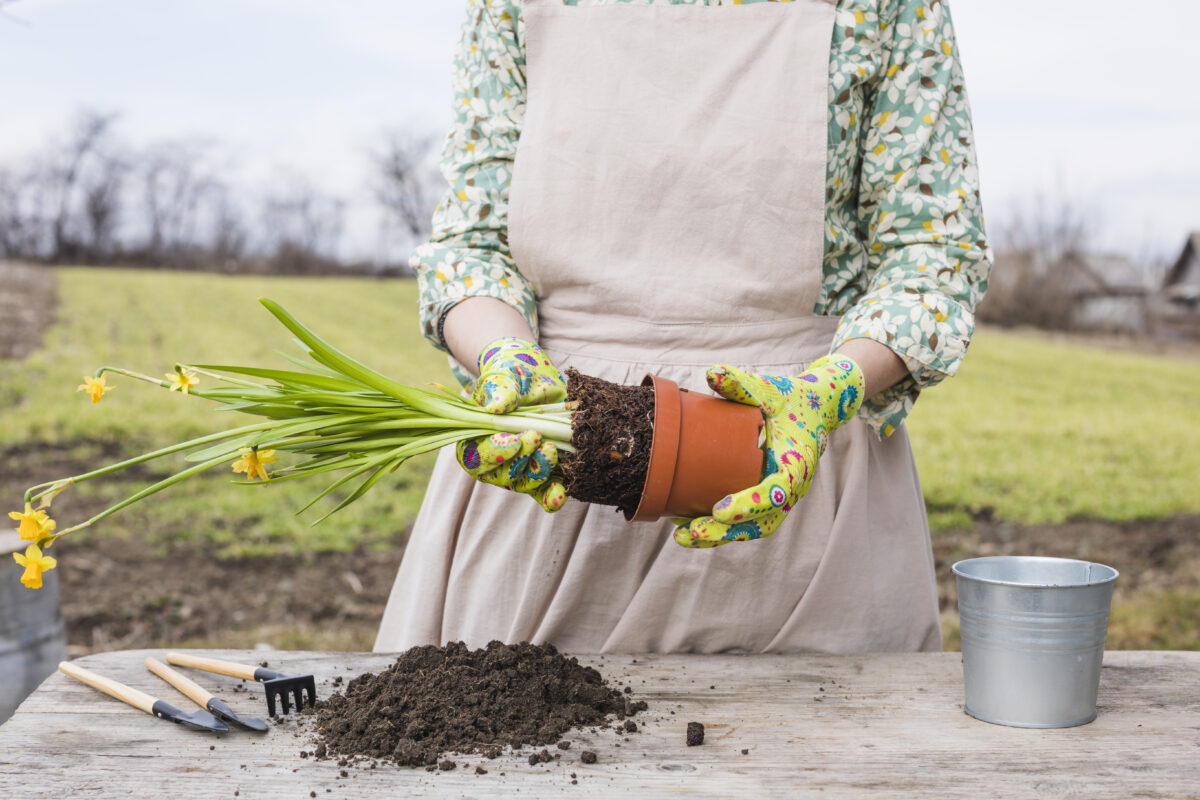 women planting flowers banner